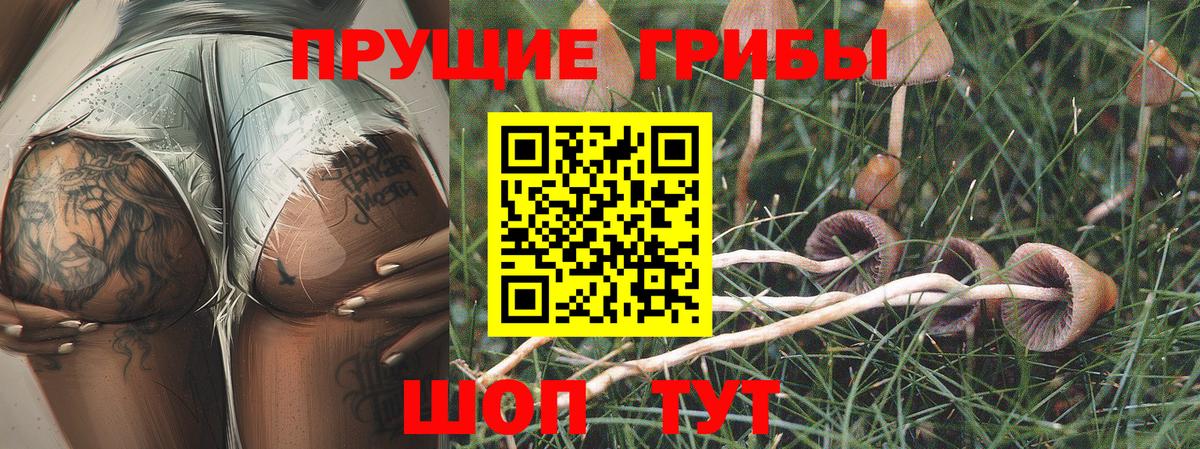 как найти наркотики  Галлюциногенные грибы GOLDEN TEACHER  Вход с VPN  Прохладный 