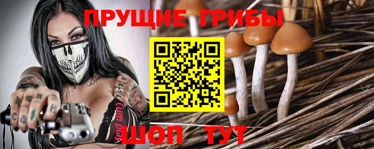 Галлюциногенные грибы Magic Shrooms Прохладный