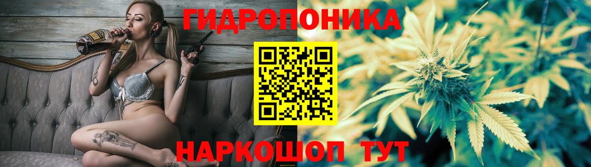 Марихуана семена  Вход с VPN  Бошки марихуана VHQ  Прохладный  Шишки марихуана гибрид 